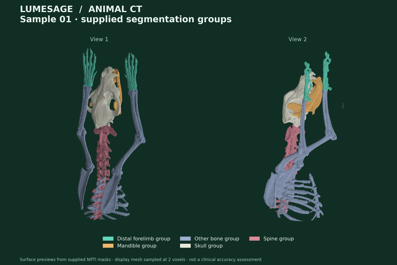 Two views of an actual animal CT segmentation sample, with colors distinguishing skull, mandible, spine and other bone groups