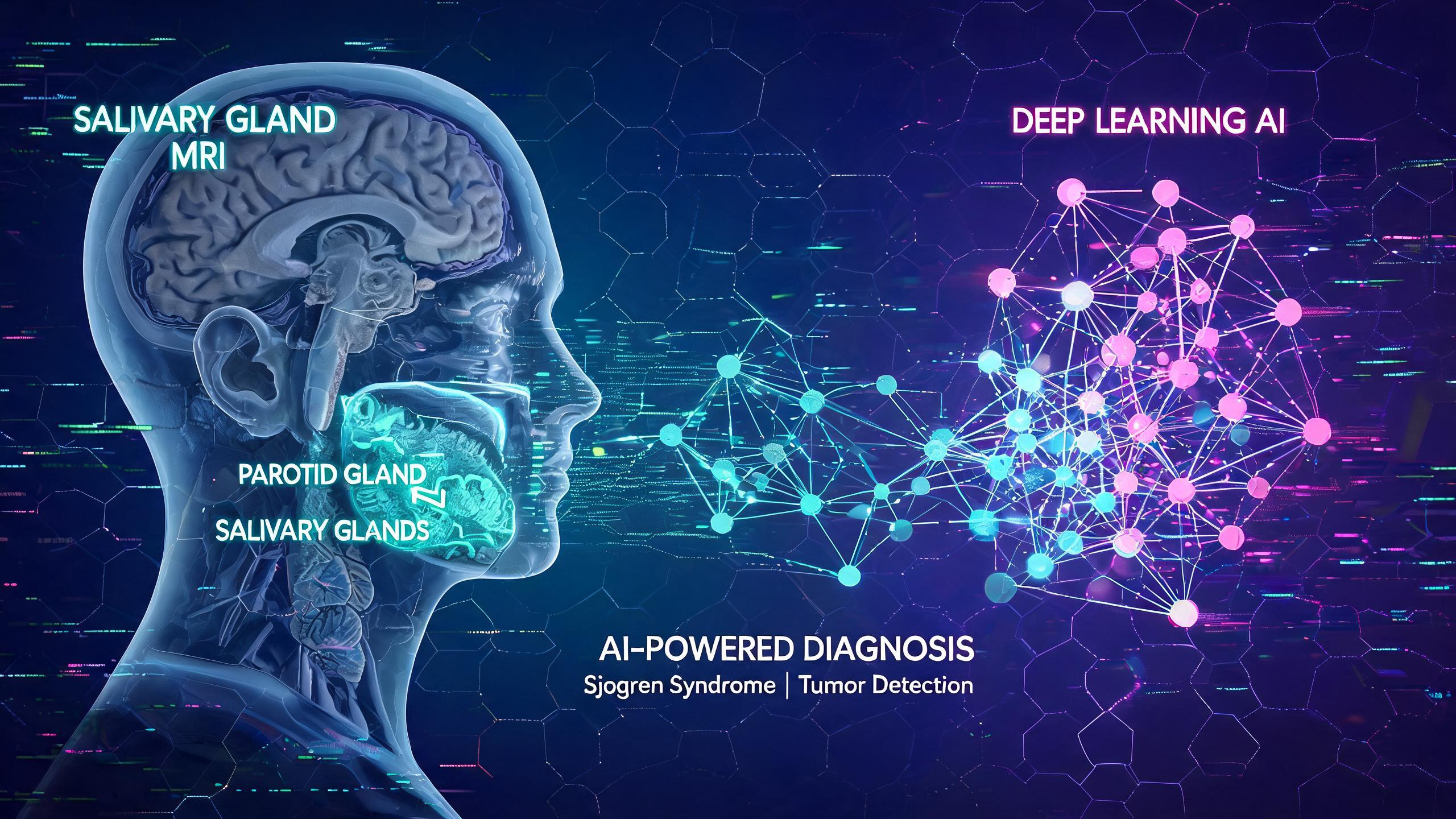 腮腺及唾液腺MRI AI：良恶性鉴别与面神经受累评估